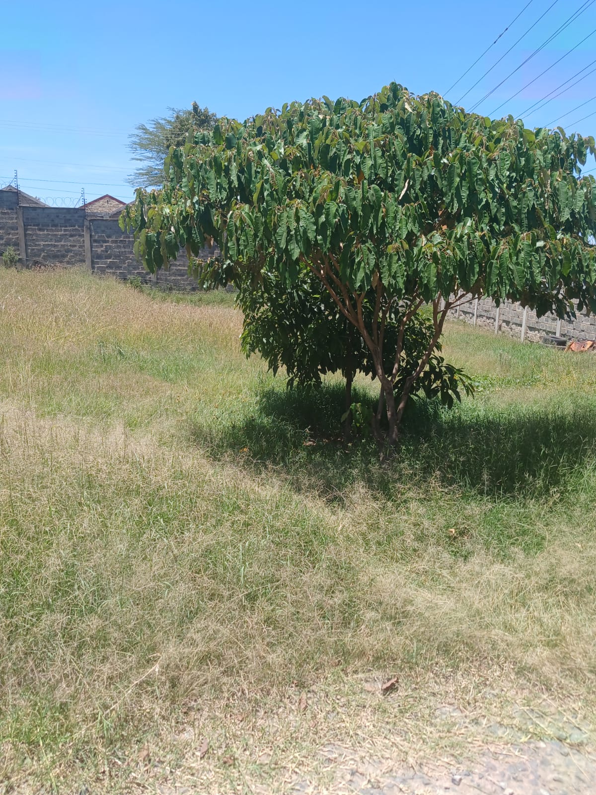 commercial land Narok CBD – perimeter wall electric fence